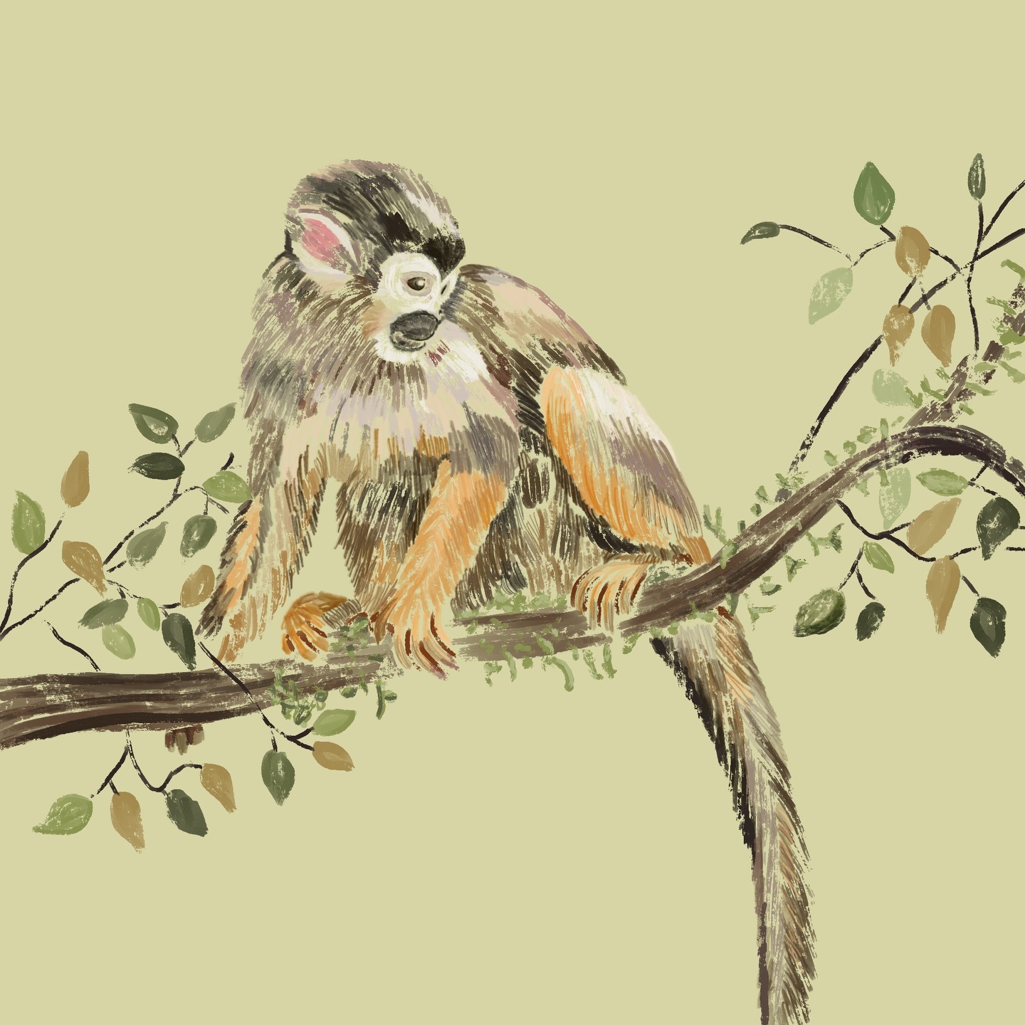 Aquarela em destaque da coleção Aquarelas do Litoral